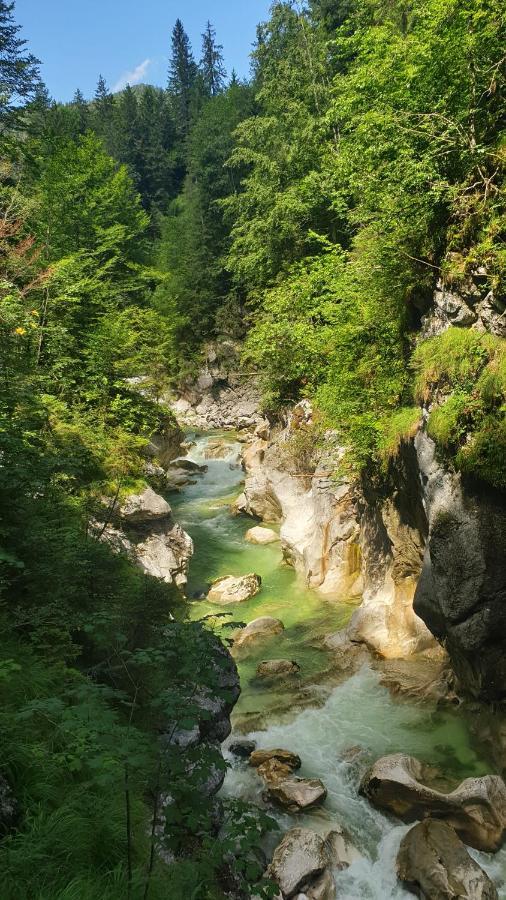 Alpenchalet Almrose Ауфах Екстериор снимка