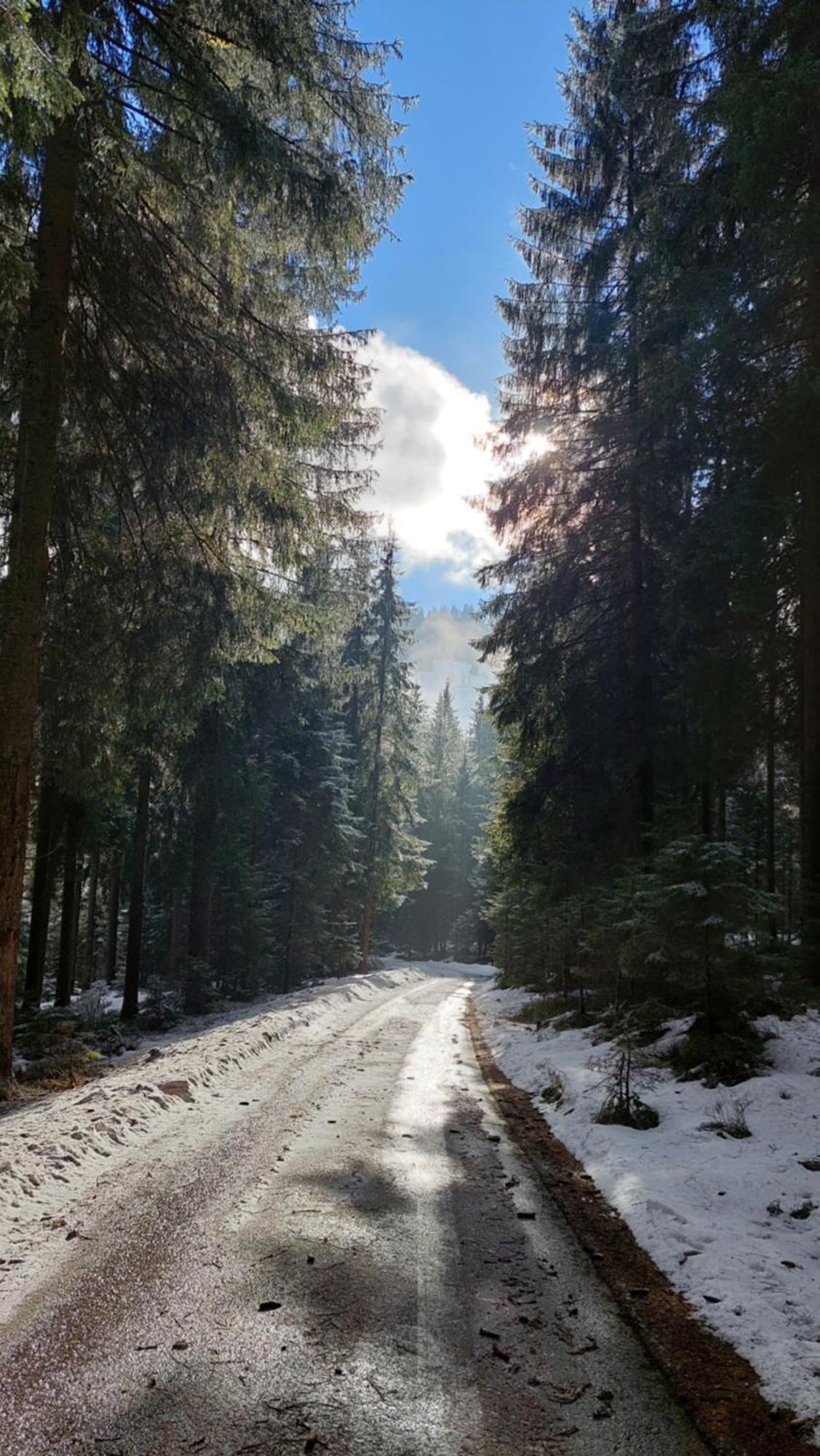 Alpenchalet Almrose Ауфах Екстериор снимка